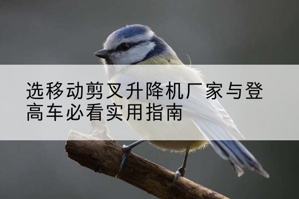 高淳电动升降机厂家-选移动剪叉升降机厂家与登高车必看实用指南