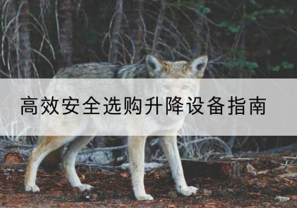 高淳升降货梯厂家推荐-*安全选购升降设备指南