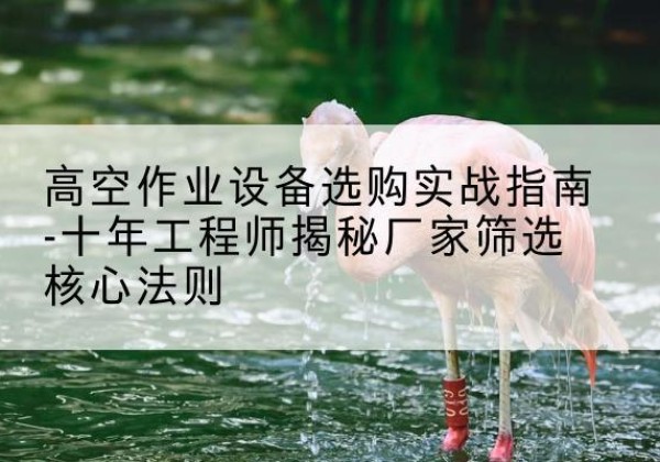 高淳剪叉式升降机厂家-高空作业设备选购实战指南-十年工程师揭秘厂家筛选核心法则