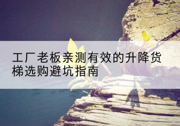 高淳升降货梯怎么选-工厂老板亲测有效的升降货梯选购避坑指南